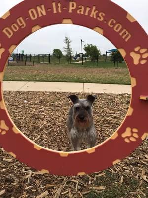 Dog Park at Tom Slick Park photo 1